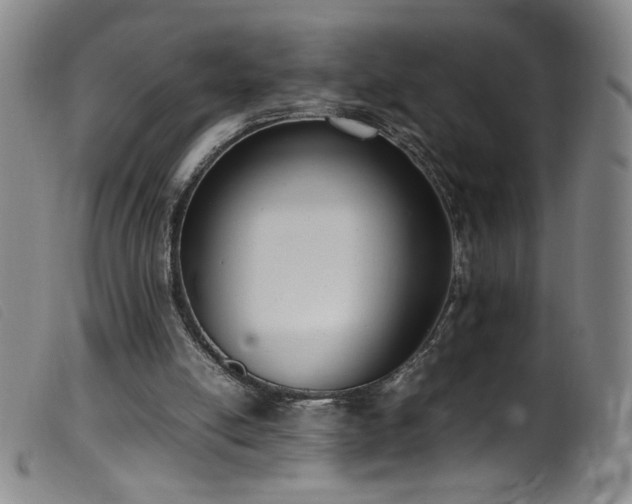 X0000099550054200805161502