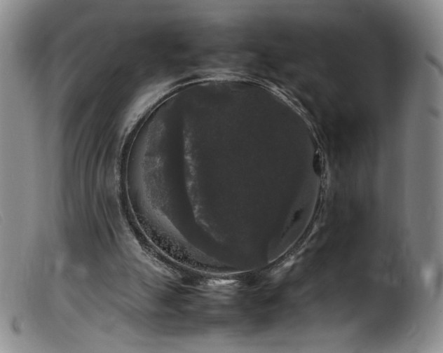 X0000099550055200805161502