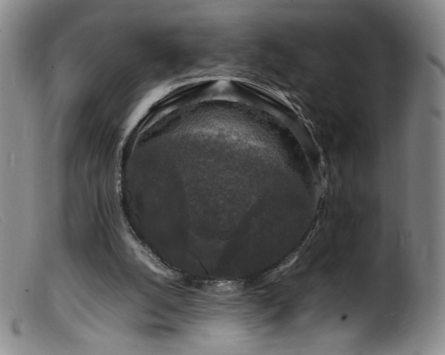 X0000099550056200805161502