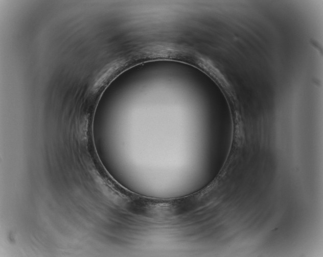 X0000099550058200805161502