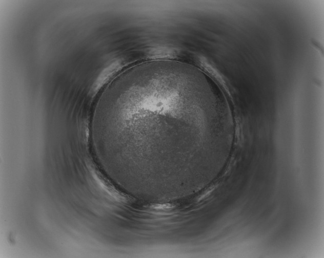 X0000099550059200805161502