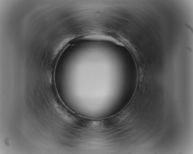 X0000099550060200805161502