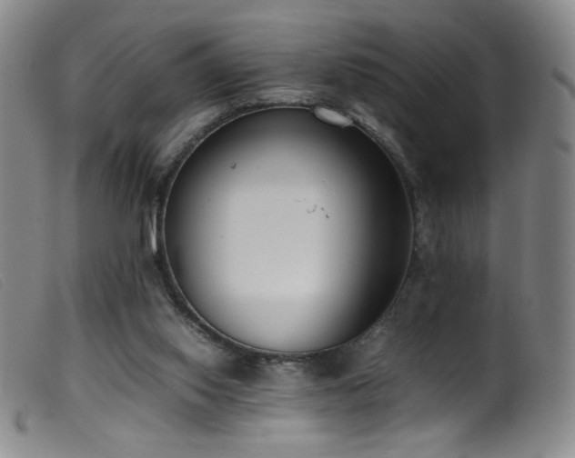 X0000099550062200805161502