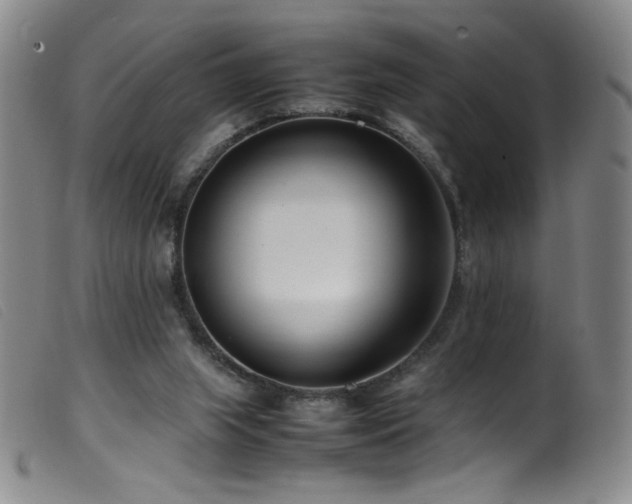 X0000099550063200805161502