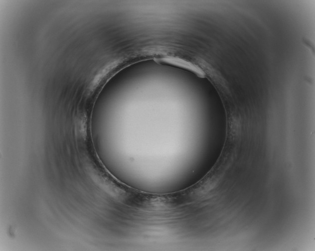 X0000099550064200805161502