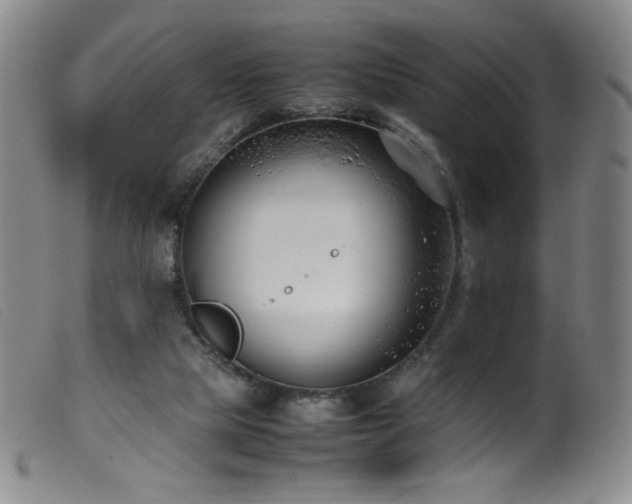 X0000099550065200805161502