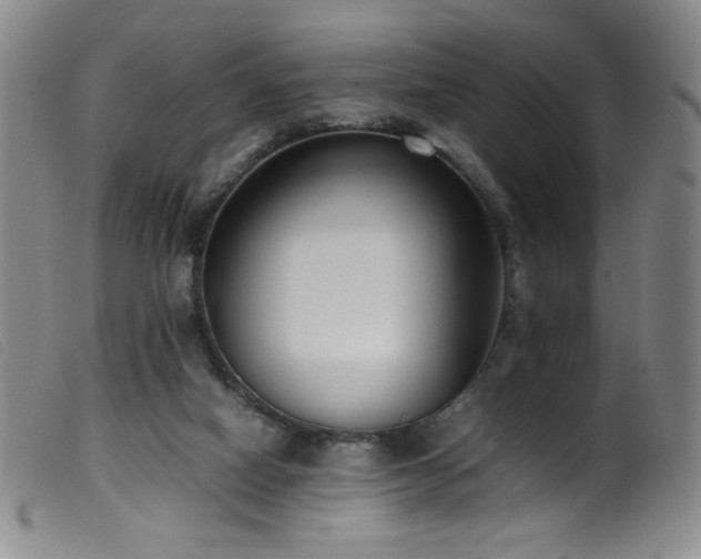 X0000099550066200805161502