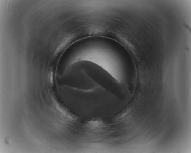 X0000099550067200805161502