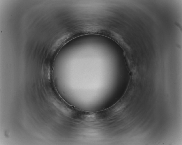 X0000099550068200805161502