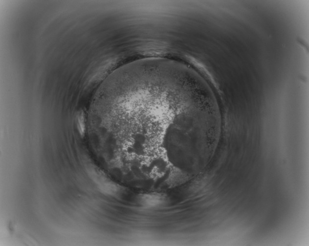 X0000099550069200805161502