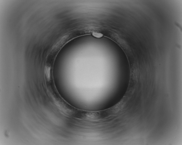 X0000099550070200805161502