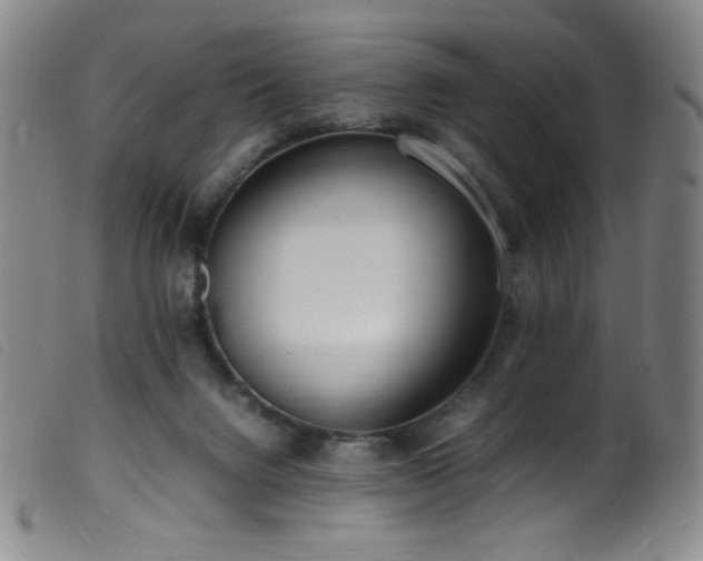X0000099550072200805161502