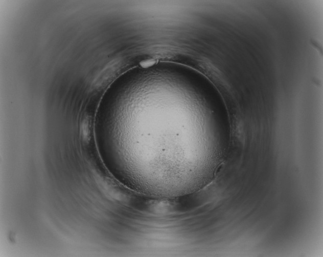 X0000099550074200805161502