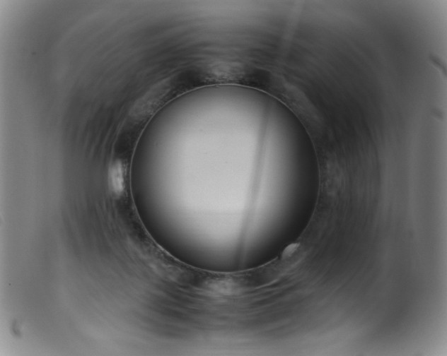 X0000099550075200805161502