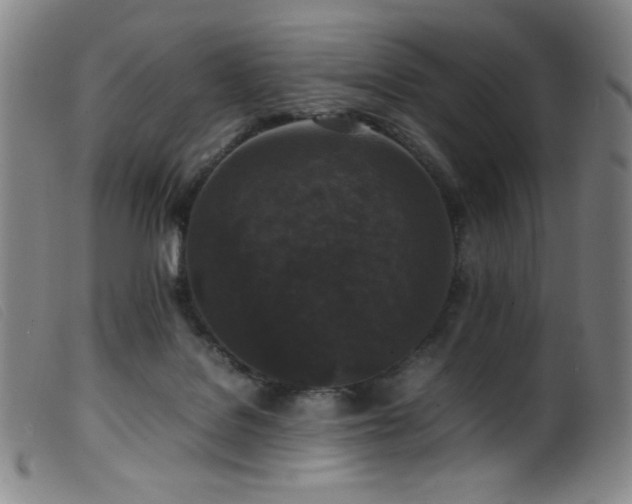 X0000099550076200805161502