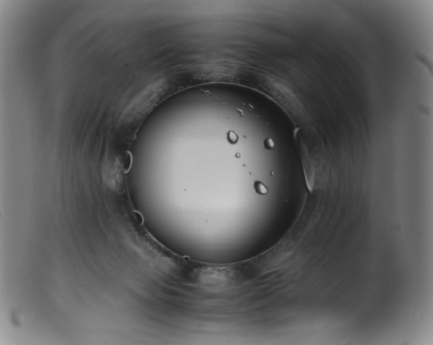 X0000099550077200805161502