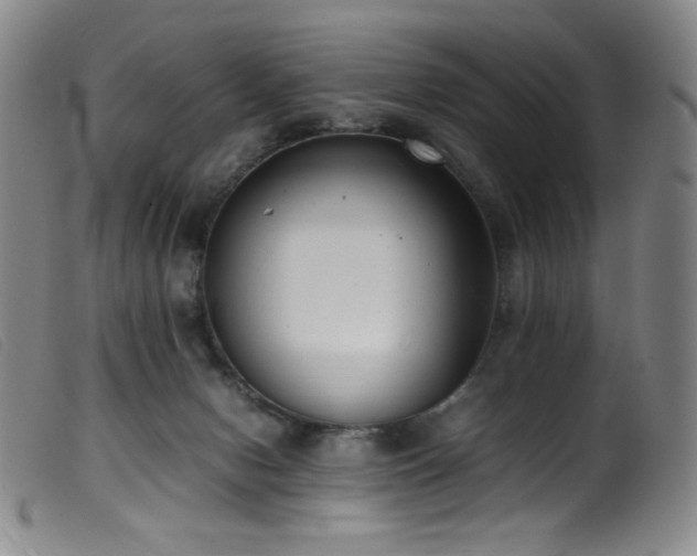 X0000099550078200805161502