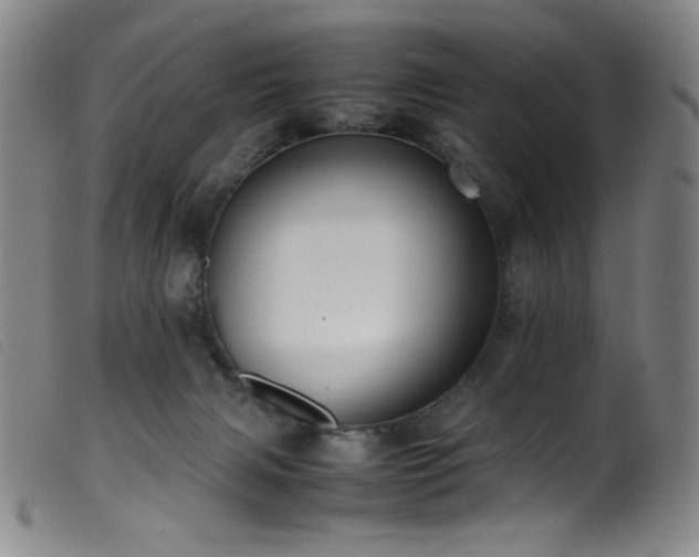X0000099550079200805161502
