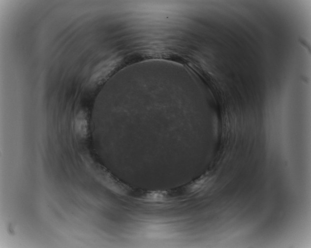 X0000099550080200805161502