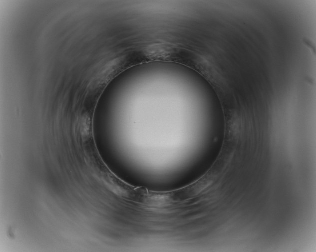 X0000099550081200805161502