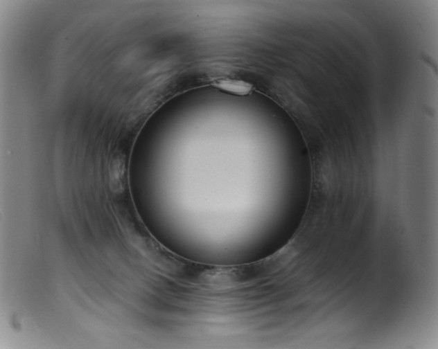 X0000099550082200805161502