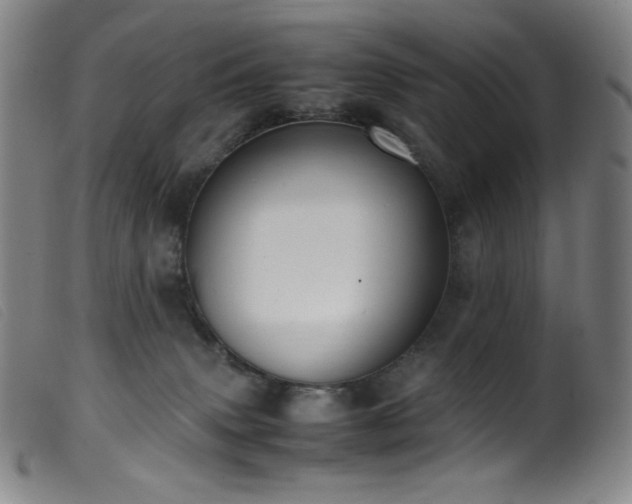 X0000099550083200805161502
