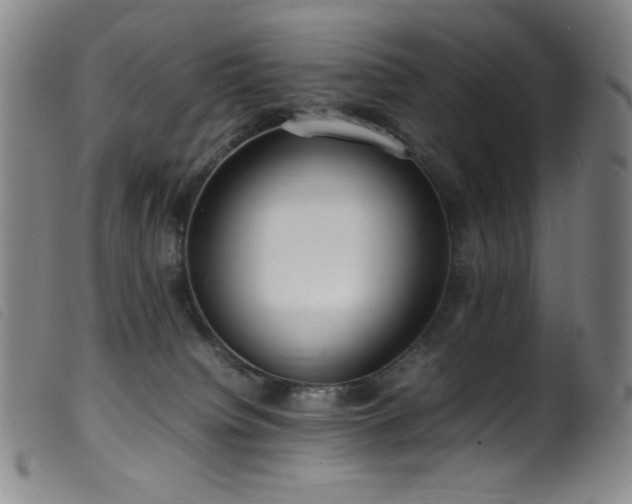 X0000099550084200805161502