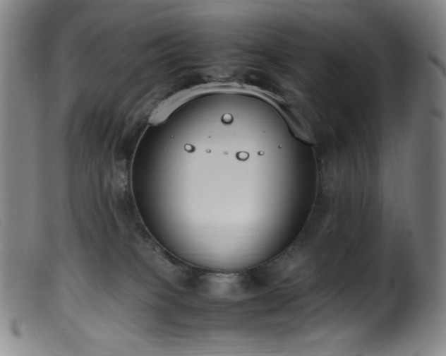 X0000099550085200805161502