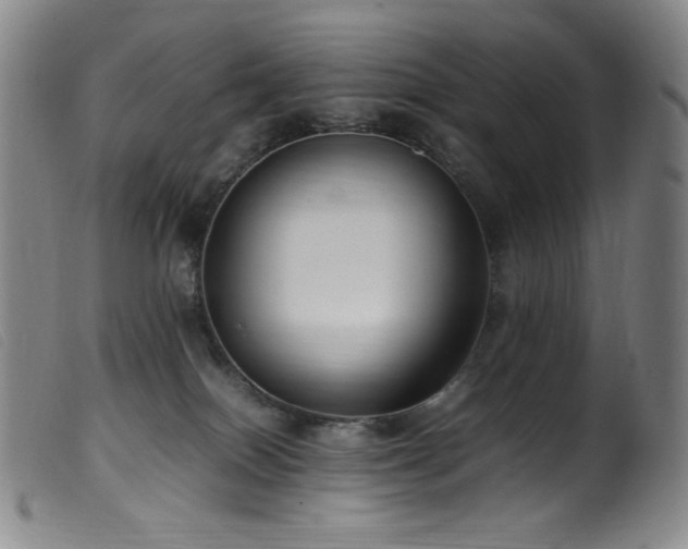 X0000099550086200805161502