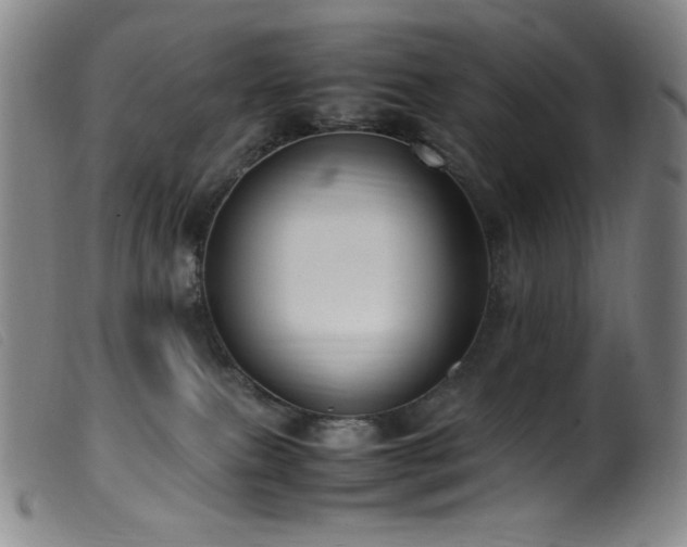 X0000099550087200805161502