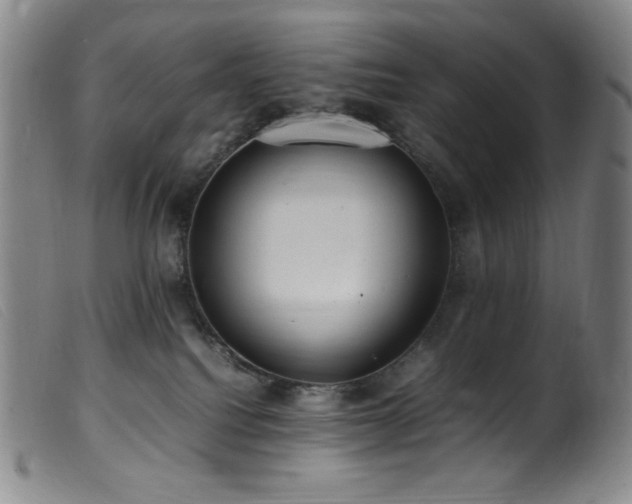 X0000099550088200805161502