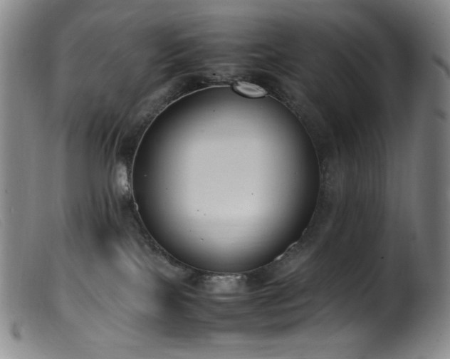 X0000099550089200805161503