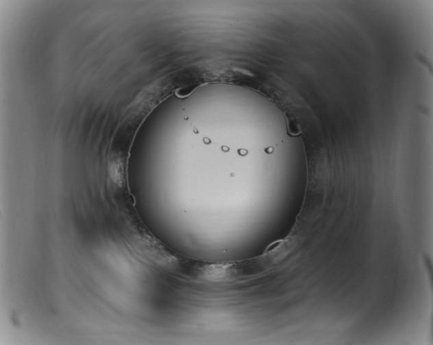 X0000099550090200805161503