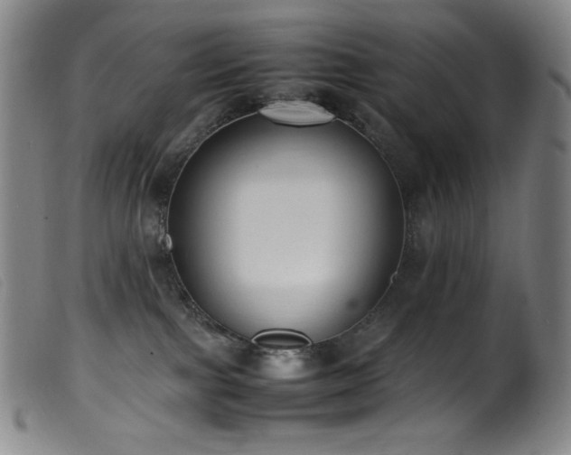 X0000099550091200805161503
