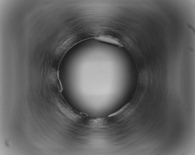 X0000099550092200805161503