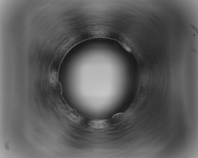 X0000099550093200805161503