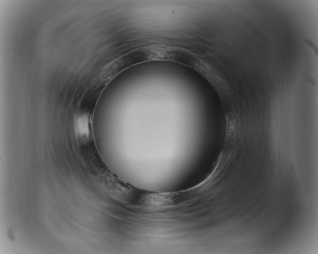X0000099550094200805161503