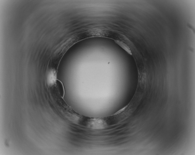 X0000099550095200805161503