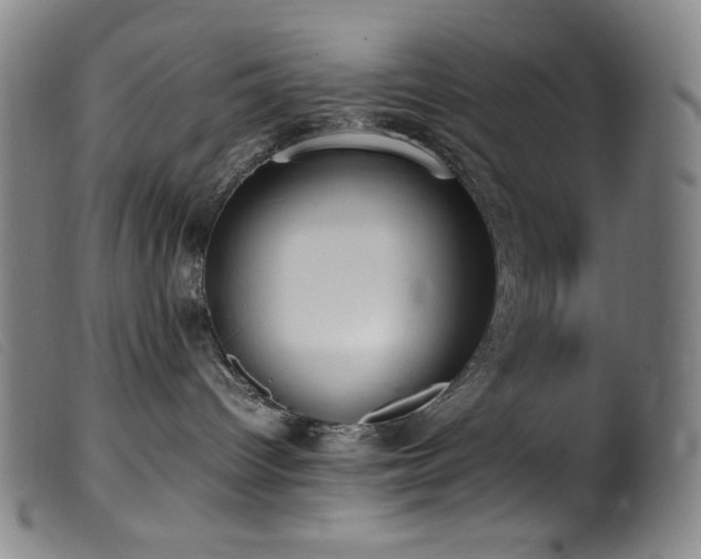 X0000099550096200805161503
