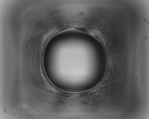 X0000099550097200805161502