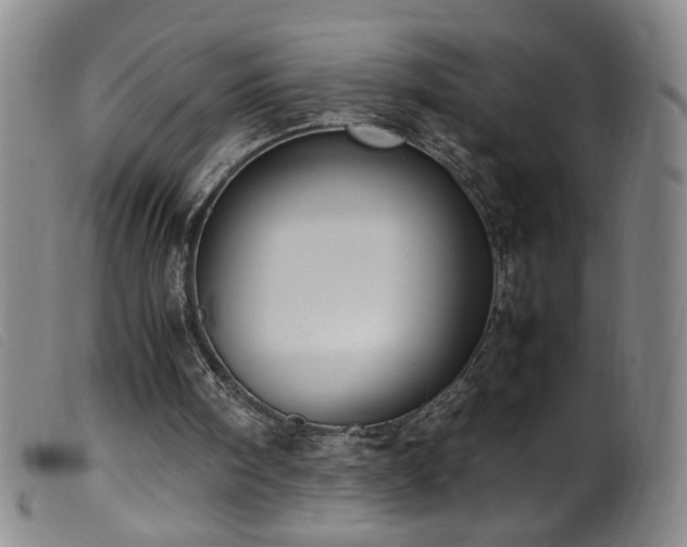 X0000099550098200805161502