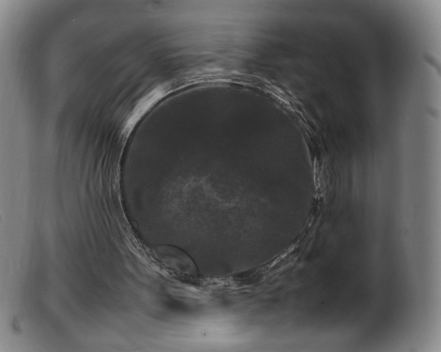 X0000099550099200805161502