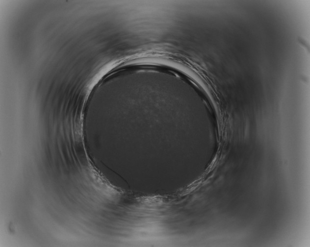 X0000099550100200805161502