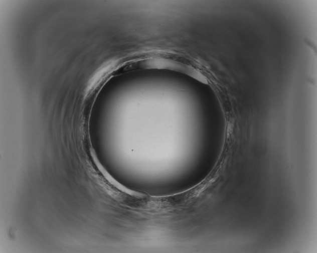 X0000099550101200805161502