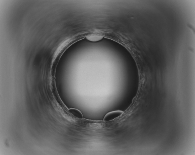 X0000099550102200805161502