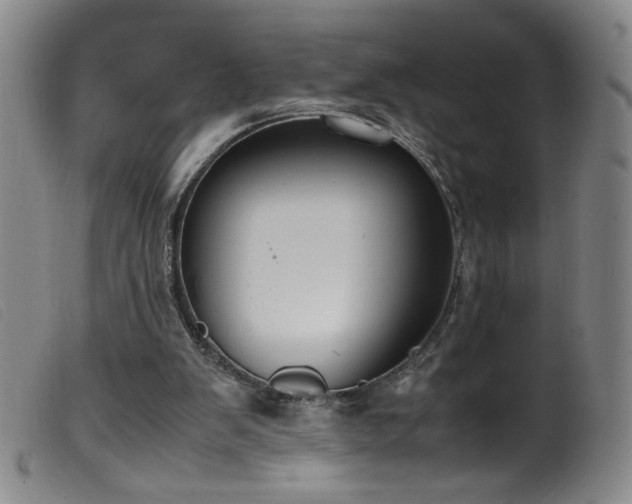 X0000099550103200805161502