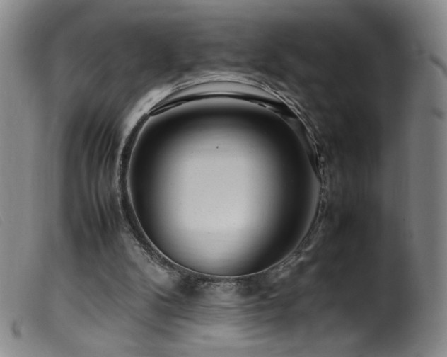 X0000099550104200805161502