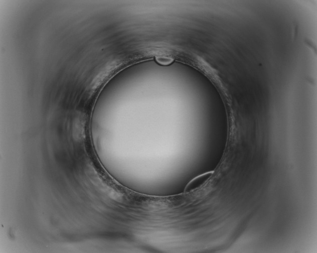 X0000099550106200805161502