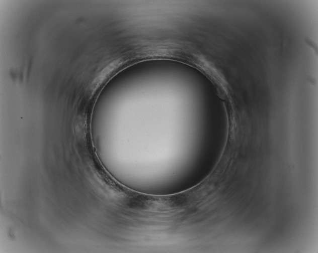 X0000099550107200805161502