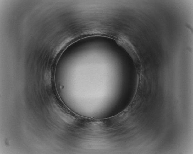 X0000099550108200805161502